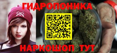 мдпв Кандалакша